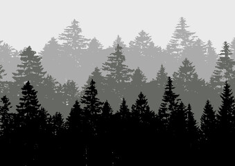 Fototapeta na wymiar Vector background with forest. Vector illustration with trees.