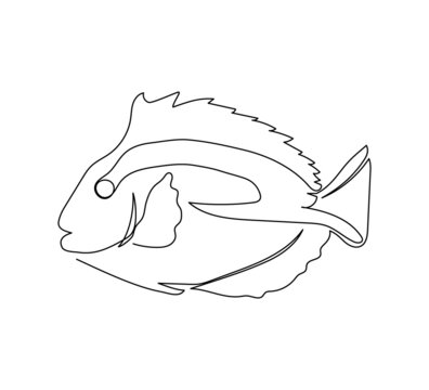 recommend clip art: Angel fish, surgeonfish, imperial angel continuous line drawing. One line art of exotic, tropical fish, coral fish, seafood.