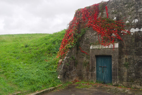 Porta de entrada para um espaço debaixo da terra. Porta antiga no meio de uma parede em pedra com planta trepadeira de flores vermelhas - por baixo de uma colina - tempo de chuva
