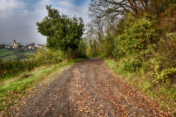 Mombisaggio
Colli Tortonesi - Italia