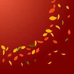 Falling autumn leaves. Red, yellow, green, brown c