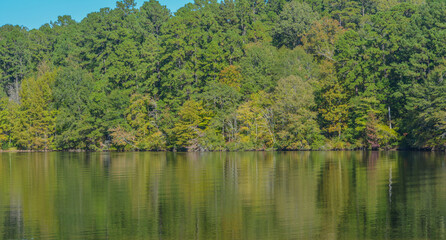 Fototapeta na wymiar Beautiful view of Lake Claiborne State Park, in Homer, Claiborne Parish, Louisiana