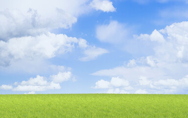 Fototapeta na wymiar Green grassland and blue sky, 3d rendering.
