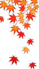 紅葉、もみじ、秋の風景