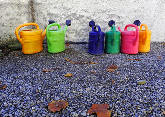 Sechs bunte Gießkannen stehen in einer Reihe im Herbst auf dem Boden