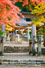 秋の白川郷
