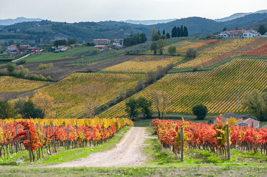 Autumn in Umbria