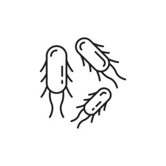 Positive bacterium, healthy organism chemical microbes isolated thin line icon. Vector gastrointestinal therapy prebiotics, microorganisms virus bacteria, probiotics or lactobacillus bifidobacterium