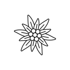 Obraz premium Edelweiss flower isolated thin line icon. Vector symbol of alpinism, Switzerland alps, Swiss and German Bavarian oktoberfest festival. Wildflower growing in mountains, national decoration