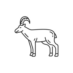 Horned domestic animal alpine Swiss goat, livestock mammal isolated thin line icon. Vector mountain goats mascot, agriculture and farming source of meat and milk, farm horned cattle side view