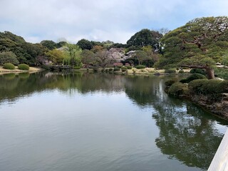 Obraz premium Tokyo Japan 2019 Cherry Blossom Zen Garden