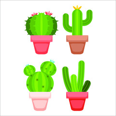 cactus  flat design plant nature