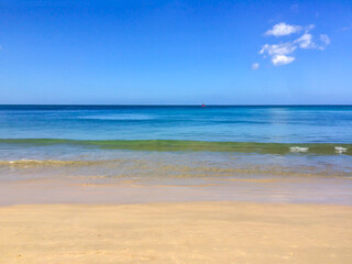 beach, palm trees and Andaman sea in Thailand on Phuket island