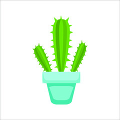 cactus  flat design plant nature