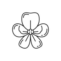 Cassia Fistula national flower of Thailand isolated Thai blossom thin line icon. Vector golden shower flower, asian ratchaphruek natural spring or summer floral element. Botanical decoration, plant