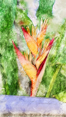 The water colour painted of Bird of paradise flower.    