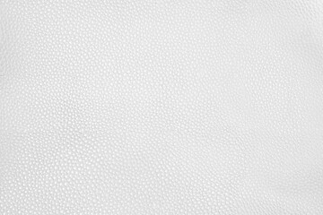 White leather textured background.