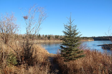 Land By The River, Whitemud Park, Edmonton, Alberta