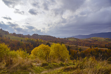 Naklejka premium autumn landscape in the mountains