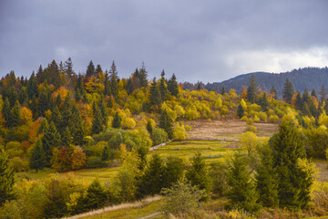 autumn landscape in the mountains in autumn
