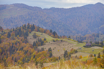 autumn landscape in mountains