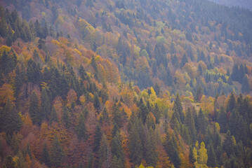 autumn landscape in mountains