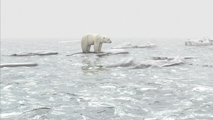 Polar bear Standing Isolated on melting iceberg in the ocean, aerial view
global warming concept, polar bear in extinction danger
