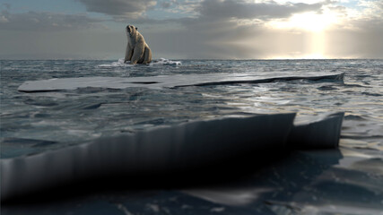 Polar bear sitting on last melting iceberg in the ocean, Dolly shot
global warming concept, polar...