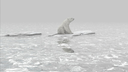 Fototapeta premium Polar bear standing on last melting iceberg in the ocean, aerial view global warming concept, polar bear in extinction danger 