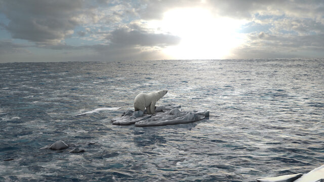 Polar Bear Standing On Last Melting Iceberg In The Ocean, Aerial View
Global Warming Concept, Polar Bear In Extinction Danger
