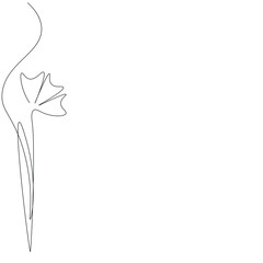 Spring flower background. Continuous line drawing. Vector illustration