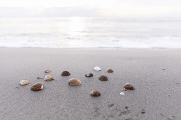 Fototapeta na wymiar Beige Sandy beach, small seashells swept by a wave on the mediterranean sea coast at sunset in Antalya Turkey. Holiday, Travel and Vacation Concept. 