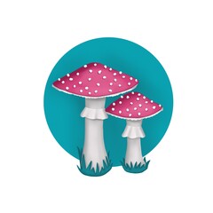 fly agaric mushrooms