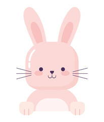 nice pink bunny