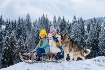 Boy and girl with husky dog sledding in a snowy forest. Outdoor winter kids fun for Christmas and New Year. Children enjoying a sleigh ride.