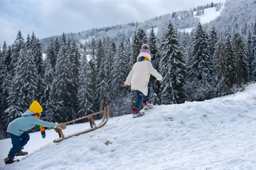 Children on sleigh. Kids boy and girl plays outside in the snow. Winter, holiday and Christmas time. Winter landscape with snowy background.