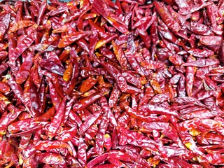 Fototapeta premium dried hot peppers