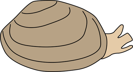 生きたアサリのイメージ