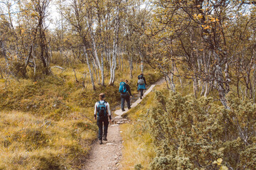 Fototapeta premium hiking in the forest in Sweden