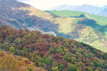 秋の伊吹山