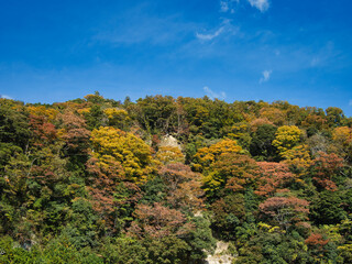 三島湖の紅葉始め