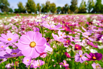 138タワーパーク