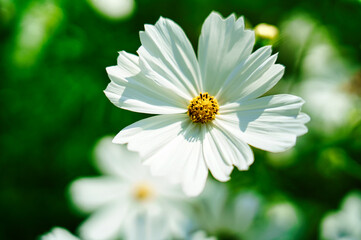 138タワーパーク