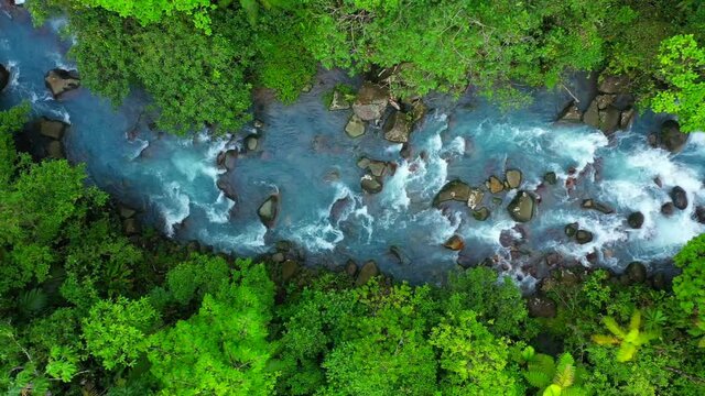 A rocky river in the middle of a forest in 4K
