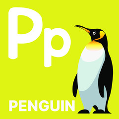 Alphabet P, P for penguin. Vector illustration of educational alphabet card cartoon character for kids.