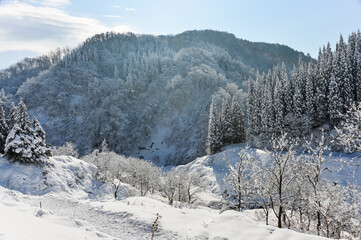 Fototapeta na wymiar 山岳の冬景色【長野県】