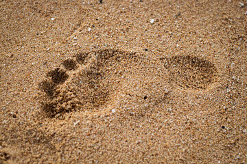 Footprints on sandy beach.