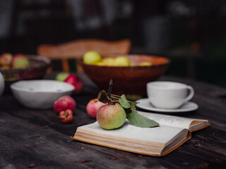 beautiful autumn still life in apple orchard, old table with cup, teapot, apples and book. Fall Getaway, Apple Picking anf Harvest Day Celebration concept
