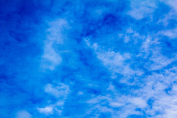 Fototapeta na wymiar Keys of migratory birds are visible in the blue sky