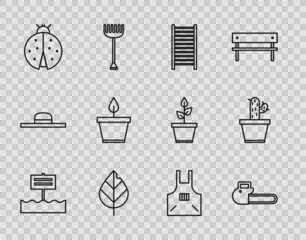 Set line Blank wooden sign board, Chainsaw, Wooden staircase, Leaf, Ladybug, Plant pot, Kitchen apron and Cactus and succulent icon. Vector